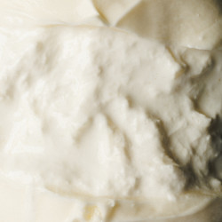 Burrata Artigianale 1